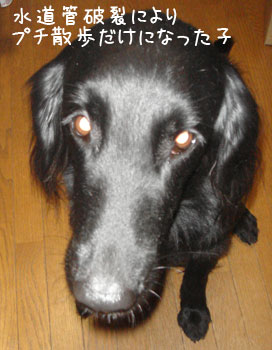 20061110-2.jpg