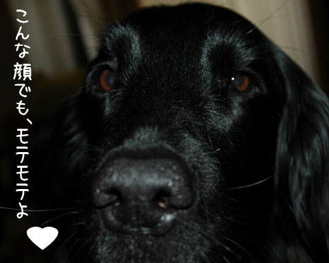 20061111.jpg