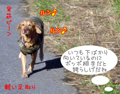 20061112-3.jpg