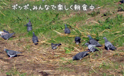 20061112.jpg