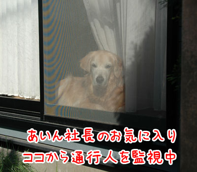 20061113.jpg
