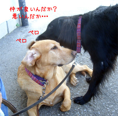 20061114.jpg