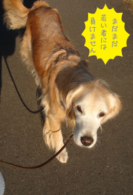 20061115.jpg