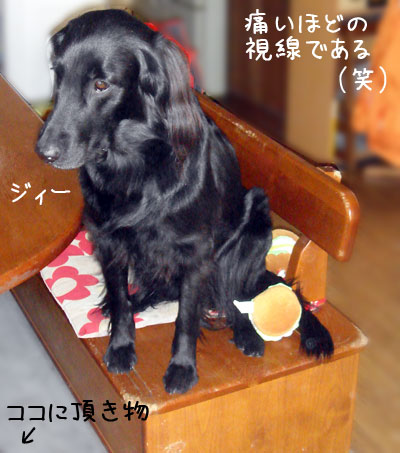 20061116.jpg