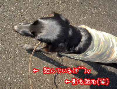 20061117.jpg