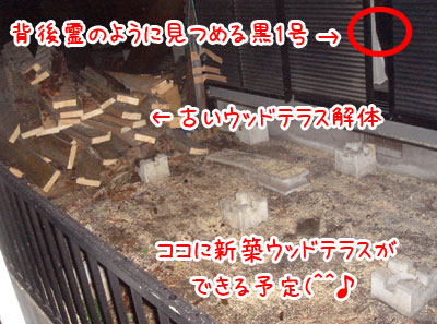 20061201.jpg