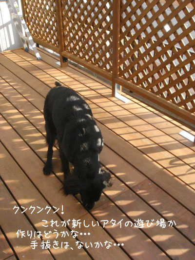 20061205.jpg
