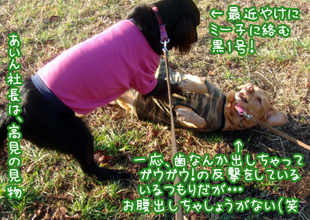 20061213.jpg