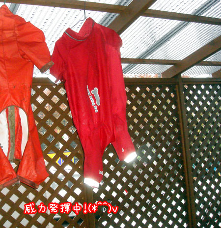 20061214.jpg