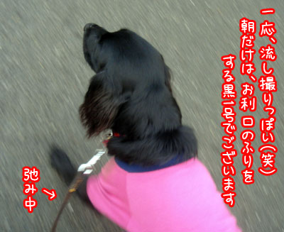 20061215.jpg