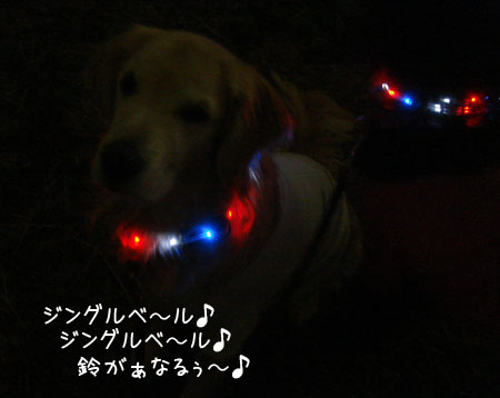 20061216.jpg
