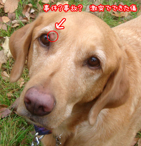 20061220-1.jpg