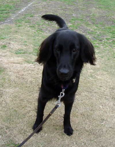 20061221.jpg