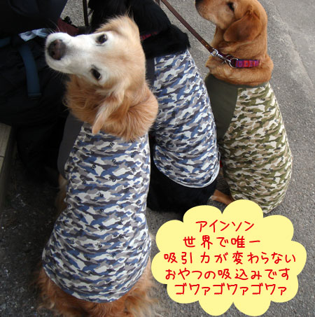 20070102.jpg