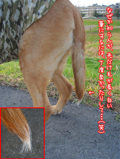 20070104.jpg