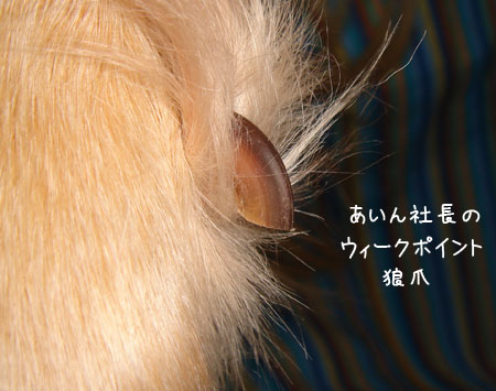 20070105.jpg