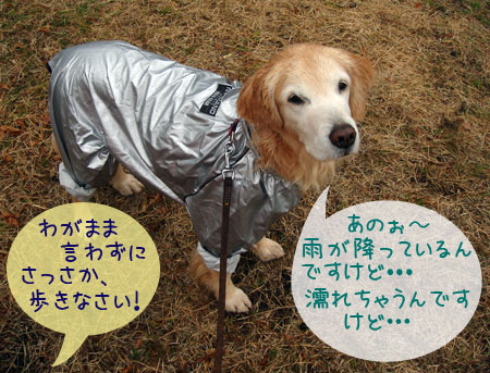 20070106.jpg