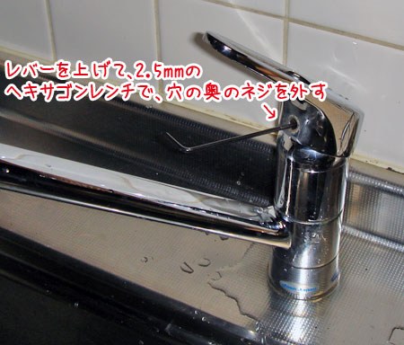 20070106-2.jpg