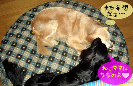20070108.jpg