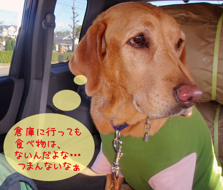 20070109.jpg