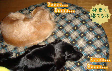 20070110-1.jpg