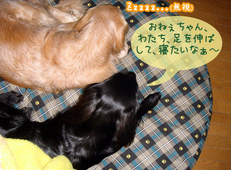 20070110-2.jpg