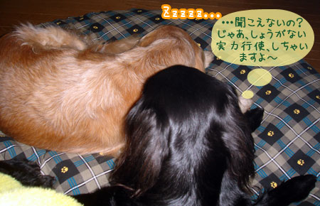20070110-3.jpg