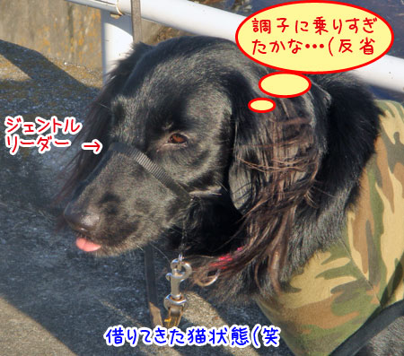 20070111.jpg