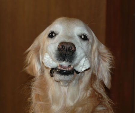 20070112.jpg
