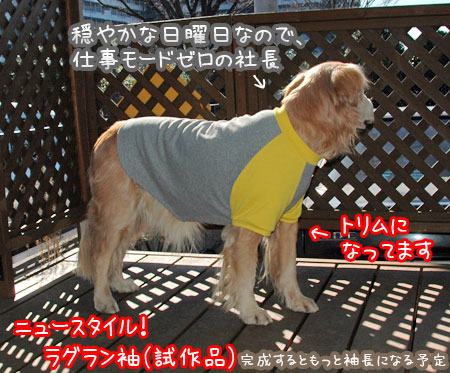 20070114.jpg