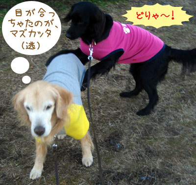 20070115-2.jpg