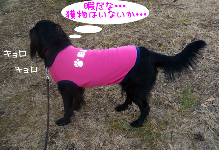 20070115.jpg