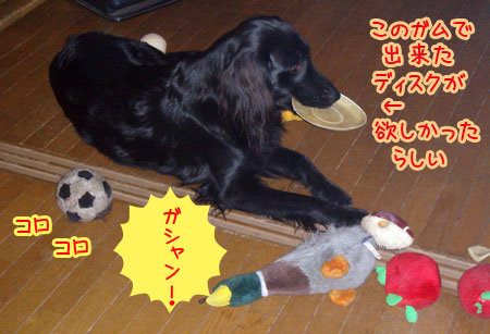 20070118.jpg