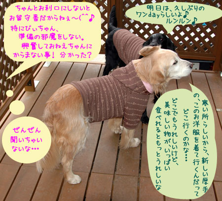 20070120.jpg