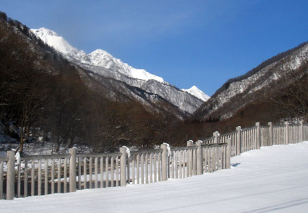 20070121.jpg