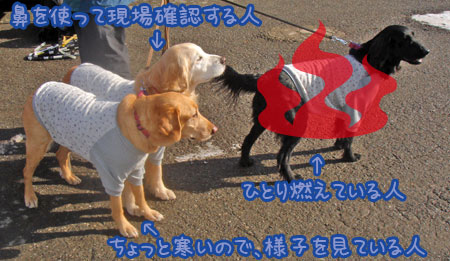 20070121_03ss.jpg