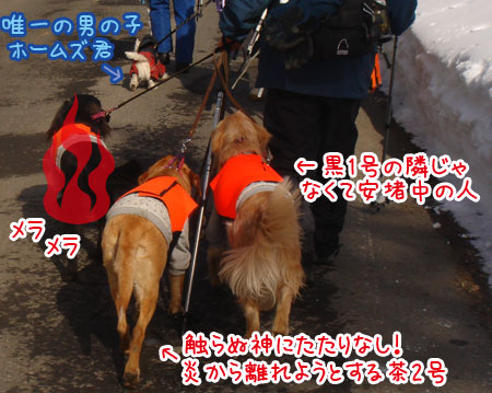 20070121_04ss.jpg