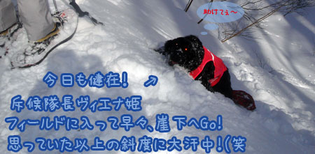 20070121_05ss.jpg