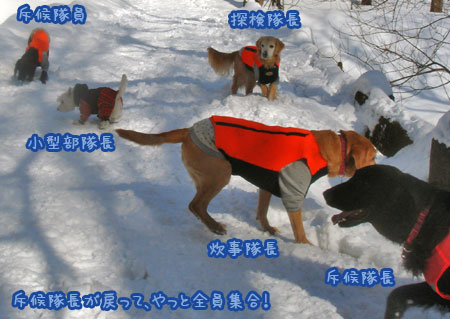 20070121_06ss.jpg
