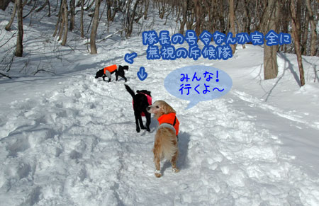 20070121_10ss.jpg