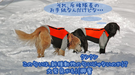 20070121_11ss.jpg
