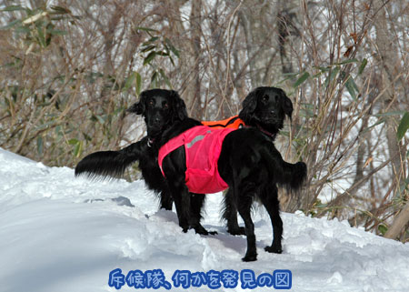 20070121_12ss.jpg