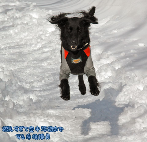 20070121_14ss.jpg