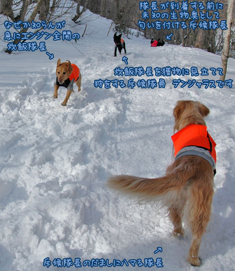 20070121_18ss.jpg