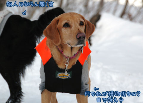 20070121_20ss.jpg