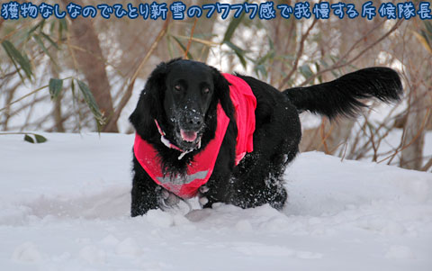 20070121_21ss.jpg