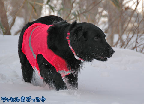 20070121_22ss.jpg