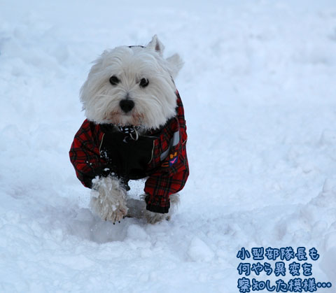 20070121_27ss.jpg
