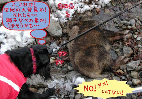 20070121_28ss.jpg