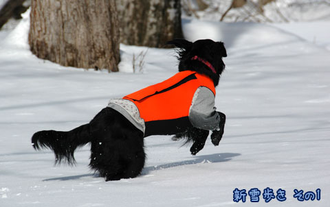 20070121_30ss.jpg